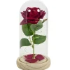 Sonstiges Spiel & Spaß|Beleuchtung-Ewige Rose mit Beleuchtung