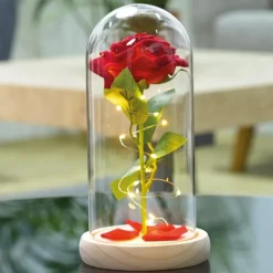 Sonstiges Spiel & Spaß|Beleuchtung-Ewige Rose mit Beleuchtung