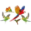 Sonstiges Clevere Alltagshelfer|Tierwelt-Fenster Vogelschutz