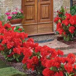 Sonstiges Garten-Geranien Kunstblumen 3er-Set