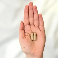 Keine Gesundheit & Wohlbefinden|Kosmetik-Joachim Kaeser - Night Shape 60 Stück
