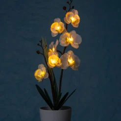 Sonstiges Beleuchtung-LED-Orchidee
