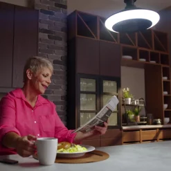Livington Beleuchtung-Breeze Brite Ventilator mit LED-Licht