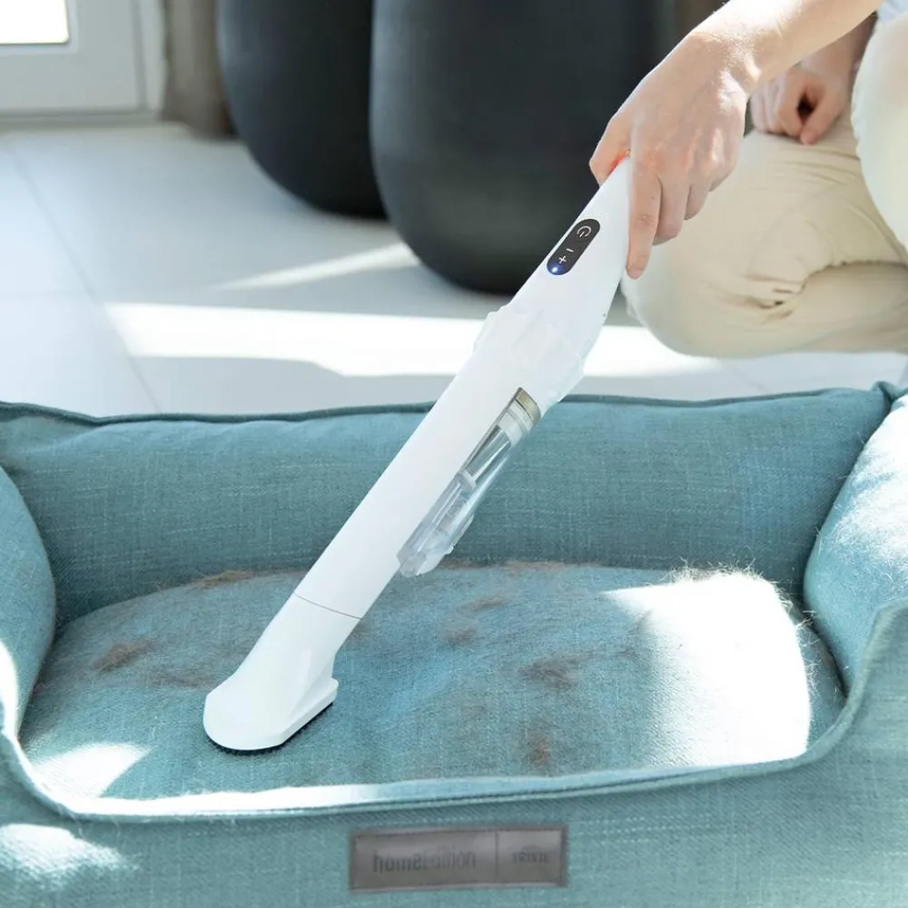 Livington Reinigung-PRIME Everyday Handstaubsauger weiß