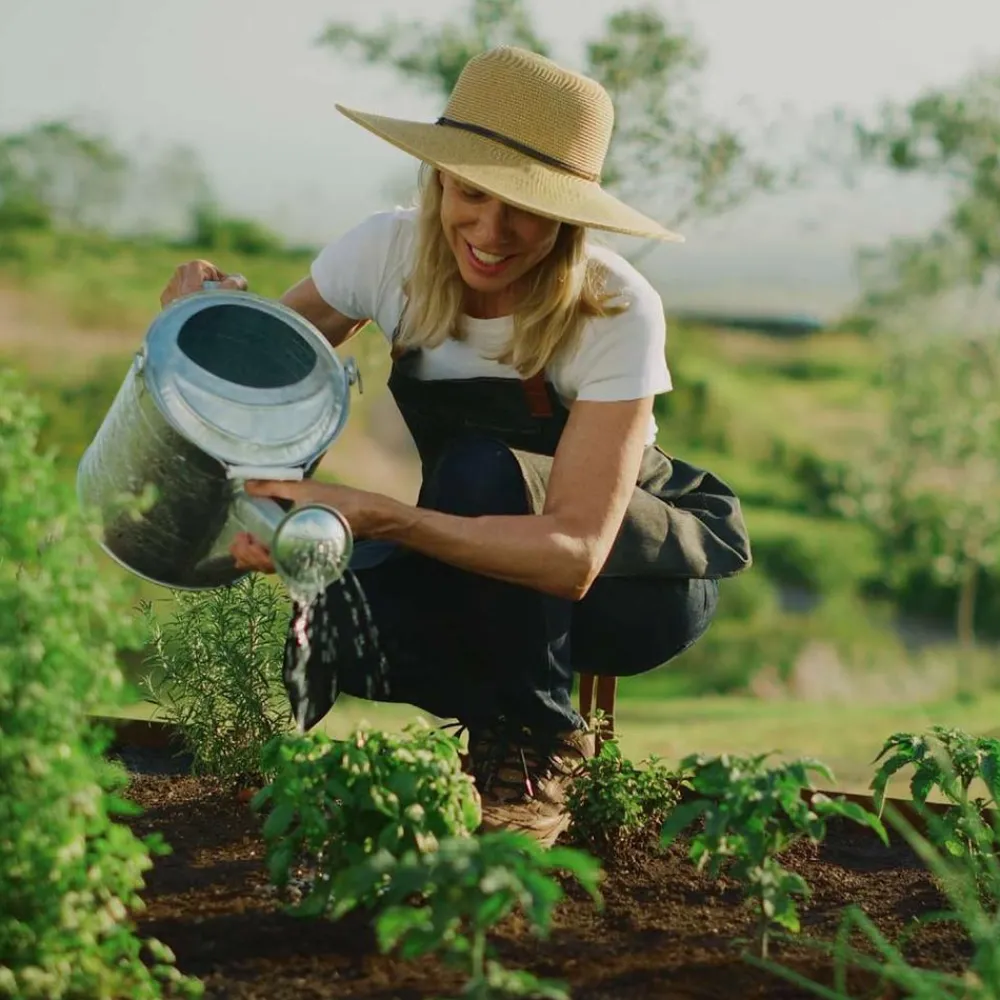 Keine Garten-PlantBliz flüssiger All-in-One-Pflanzendünger