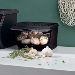 Tupperware Küchenhelfer & Kochzubehör-GarlicSmart Vorratsbehälter für Knoblauch