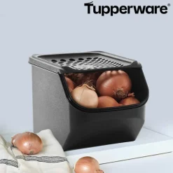Tupperware Küchenhelfer & Kochzubehör-OnionSmart Vorratsbehälter für Zwiebeln