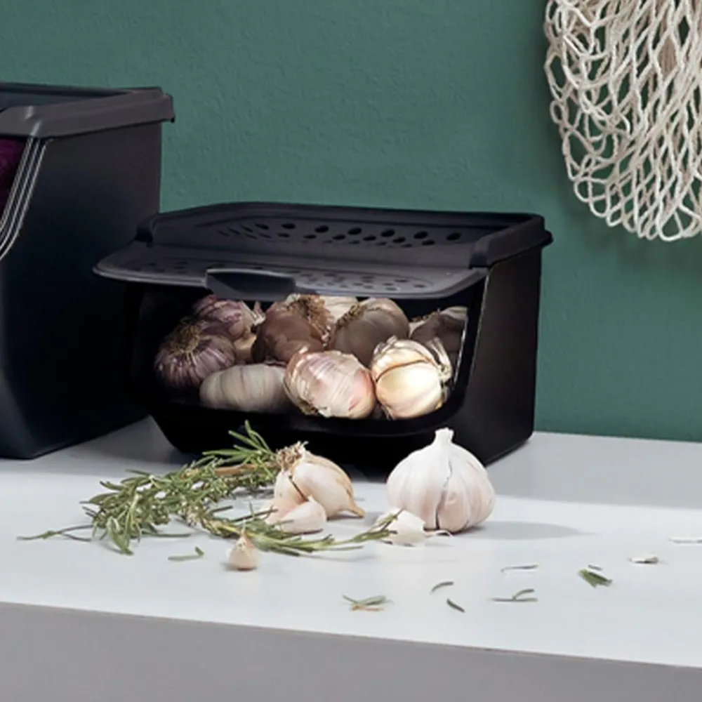 Tupperware Küchenhelfer & Kochzubehör-PotatoSmart & GarlicSmart Frischhaltebehälterset für Kartoffeln + Knoblauch