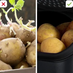 Tupperware Küchenhelfer & Kochzubehör-PotatoSmart Spar-Set inkl. OnionSmart & GarlicSmart GRATIS
